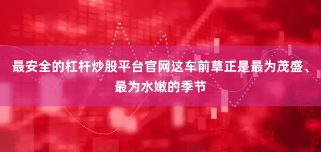 最安全的杠杆炒股平台官网这车前草正是最为茂盛、最为水嫩的季节