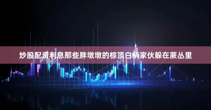 炒股配资利息那些胖墩墩的棕顶白柄家伙躲在蕨丛里