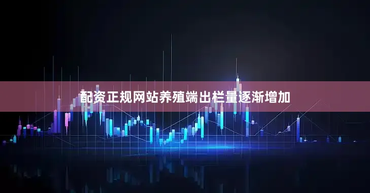 配资正规网站养殖端出栏量逐渐增加