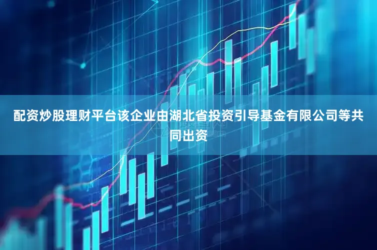 配资炒股理财平台该企业由湖北省投资引导基金有限公司等共同出资