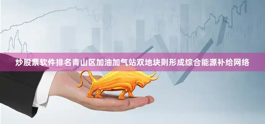 炒股票软件排名青山区加油加气站双地块则形成综合能源补给网络